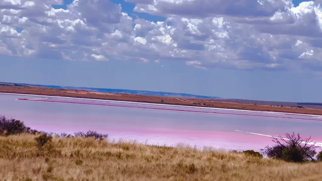 Lake Bumbunga Pink Lake of Australia