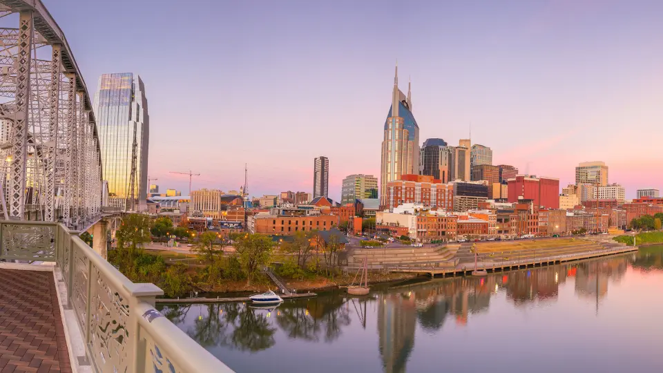 Why Are You Traveling to Nashville?